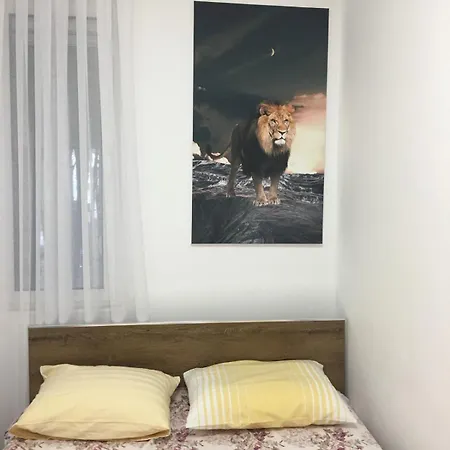 Apartment Biki